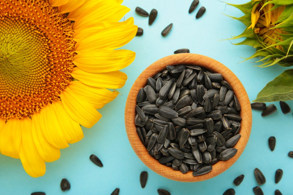 - ECA Healthcare | Official Site Sunflower with seeds in bowl on blue background. top view