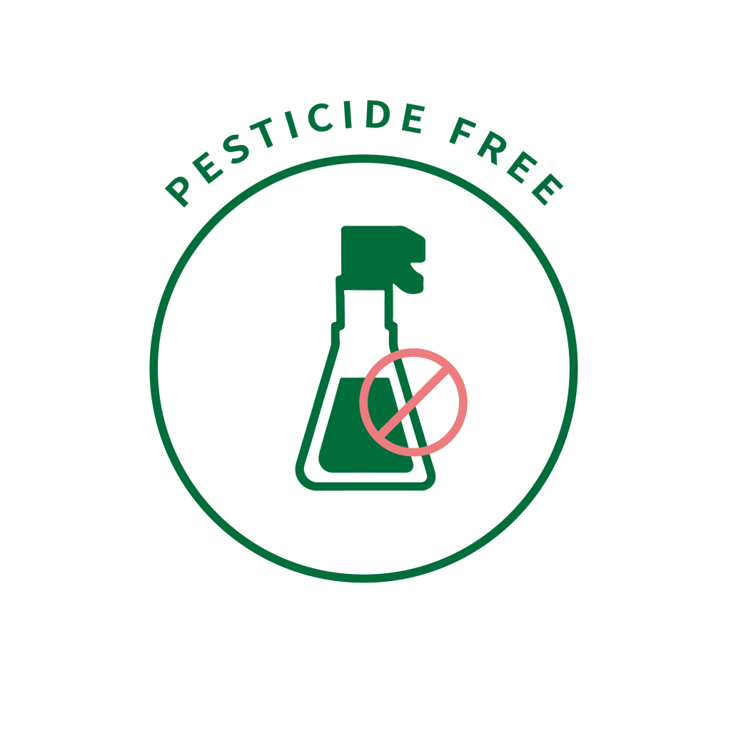 pestcide free
