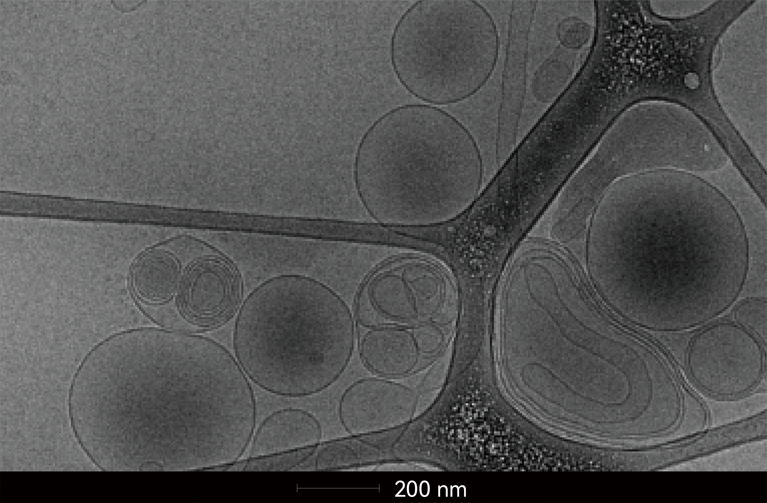 ReaLipo® Glutathione Liposomal Reduced L-Glutathione