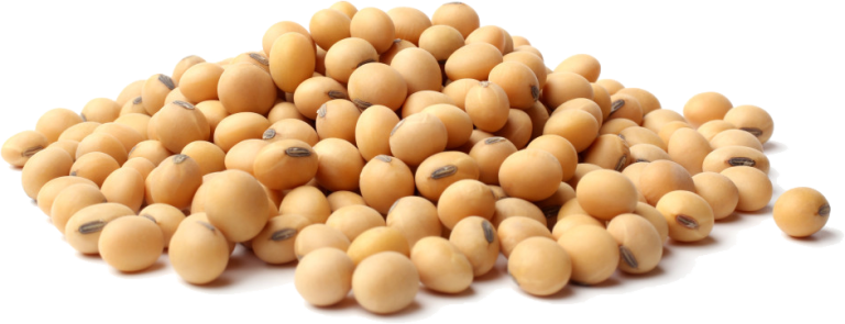 GreenPC® Soya PC Phosphatidylcholine