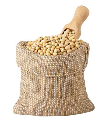 GreenPC® is a high-quality, active Phosphatidylcholine (PC) derived from Non-GMO soybeans. As a key building block for acetylcholine – a vital neurotransmitter essential for memory, muscle function, and overall cognitive health – PC is crucial in supporting healthy brain function and lipid metabolism. Since acetylcholine levels decline in dementia and Alzheimer’s disease, PC supplementation may help support cognitive function, memory retention, and neurological health.