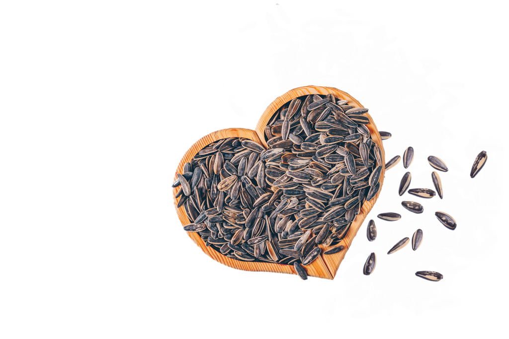 SunPC® is an active Phosphatidylcholine constituent from Sunflowers. Phosphatidylcholine (PC) is a class of phospholipids that makes an important neurotransmitter called acetylcholine. It plays a role in memory, movement and metabolism and reduces fat deposits in the liver and under the skin.